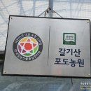 갈기산농장 이미지