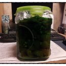 진형농장 이미지