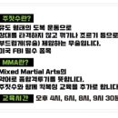 탕정 주짓수 MMA 네이버블로그