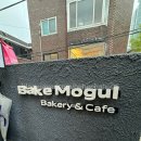 모굴(MOGUL) 네이버블로그