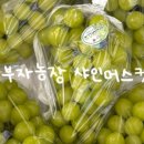 부자 농장 이미지