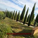 교육사각 달콤한 브런치스토리 | 이탈리아 일주 성지순례 : 몬테 올리베토 수도원