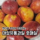 대성유통과일 - 김포시 태장로 820-26 | 대성유통과일
