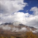 통나무숲속마을 이미지