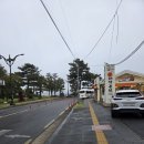 대륜동 돔베낭골 주차장 | 제주 살이 올레투어 1일 2코스/6코스&amp;7코스/쇠소깍다리~제주올레 여행자센터~서귀포버스터미널