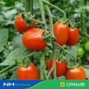 신북농협 이미지