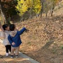 경일공원 이미지