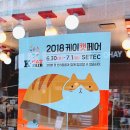 디자인바이펫 이미지