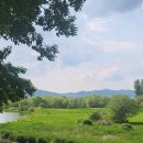 척척 행정사 사무소 이미지