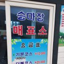 조은승마장