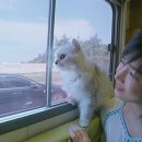 위위