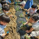 율빛유치원 이미지