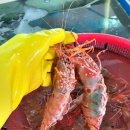 특별한농수산