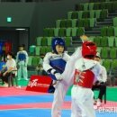 문수태권도 이미지