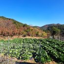 [할인판매]경남고성땅매매...영현면 조용한 골짜기 저수지가 보이는 양지바른 보전관리지역 밭 매매 이미지