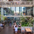 다온.댕 이미지