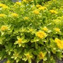 목인박물관 목석원 이미지