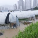 광남축산 이미지