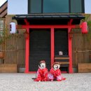 당근풀빌라 이미지