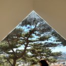소담, 스물 셋