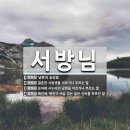 주식회사 로빈 - 김포시 | 예정에도 없던 원피스 얘기만 오질라게 하는 블로그