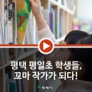 평일초등학교 이미지