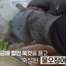 부암김밥