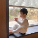 스테이 안도감 제주 이미지