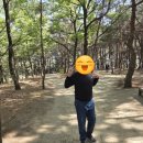 들마을어린이집 이미지