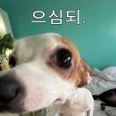 싹쓰리PC 이미지