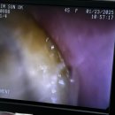 스마일동물의료센터 이미지