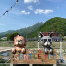 젠틀펫 | 경상북도 문경시 젠틀펫파라다이스, 후기, 위치, 리뷰