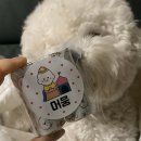 머뭄 애견유치원 이미지