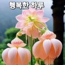 어떤 삶이 좋은 것인가?/백영옥 소설가 이미지