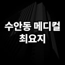 수안부동산공인중개사사무소 네이버블로그