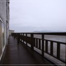 강변자연산횟집 이미지