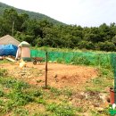 두포2 Daum카페