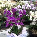 제이스덴탈 이미지