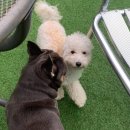 독스테이션 이미지