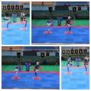 TS국가대표MVP태권도장 이미지