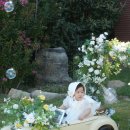 바다와 함께하는 곳 이미지