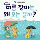 여름 장마는 왜 오는 걸까? 주의사항 이미지