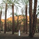 과학이 놀이랑 만날 때 이미지