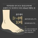 오소틱