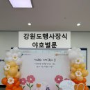 횡성군보건소 | 원주풍선장식 치매극복의날 홍천군보건소 행사 포토존 제작 후기