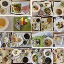 으뜸원동물병원 | 호산 산후조리원 특실-VIP실 후기, 호산여성병원 8층 호산 산후조리원 후기