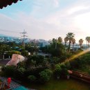 성호종합광고 | 크레이지 다이버스 제주도 다이빙 투어 후기 제 1탄 (10/22-10/26 )