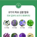 코코듀