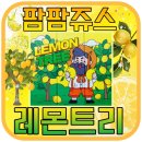 레몬트리 이미지