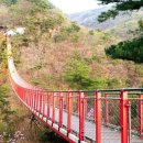 출렁다리(5) 이미지